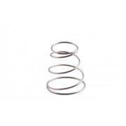 Allen Stainless Steel Spring (2 Pack)