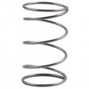 Allen Stainless Steel Spring (2 Pack)